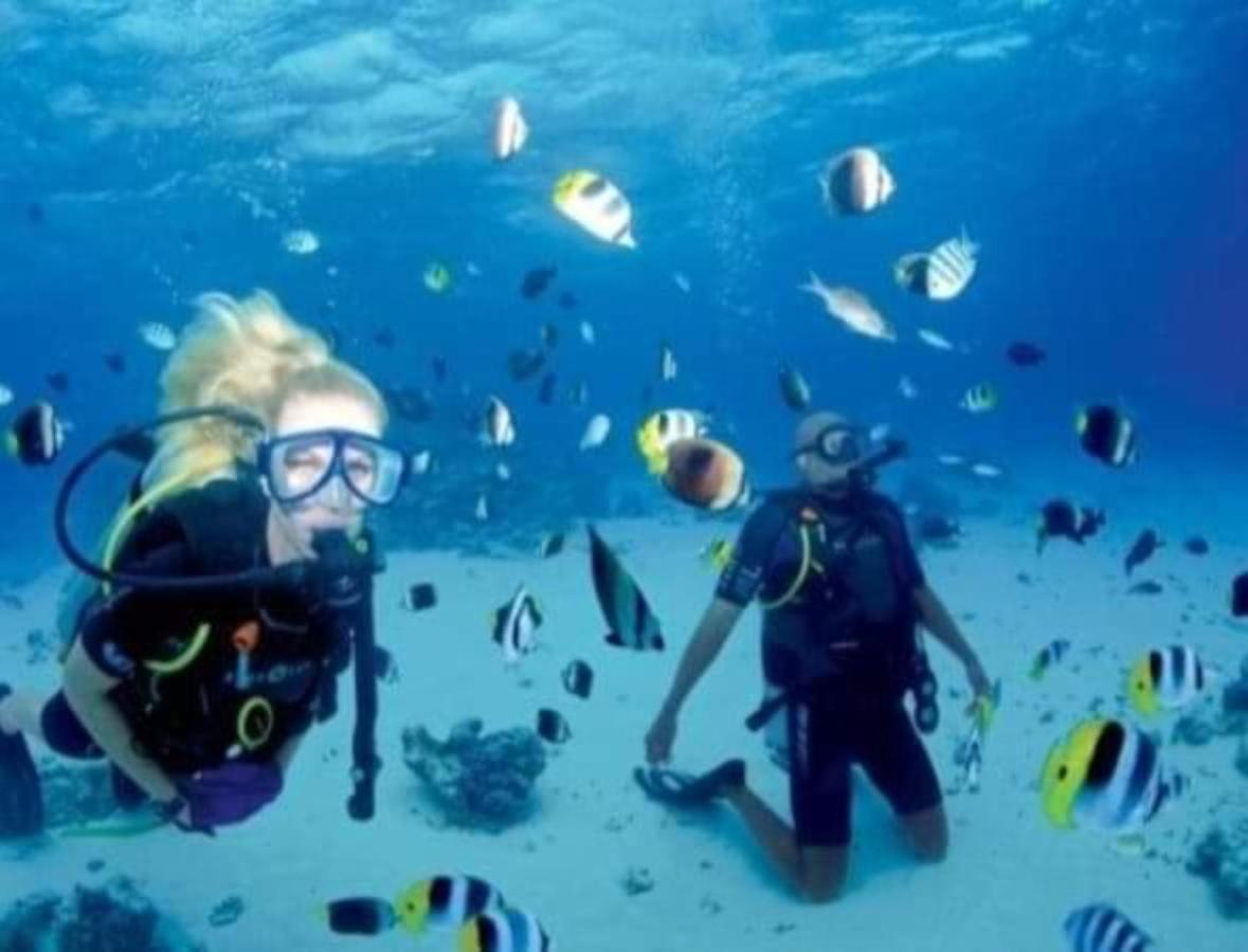 Maha Nusa Menjangan Баньюведанг Экстерьер фото