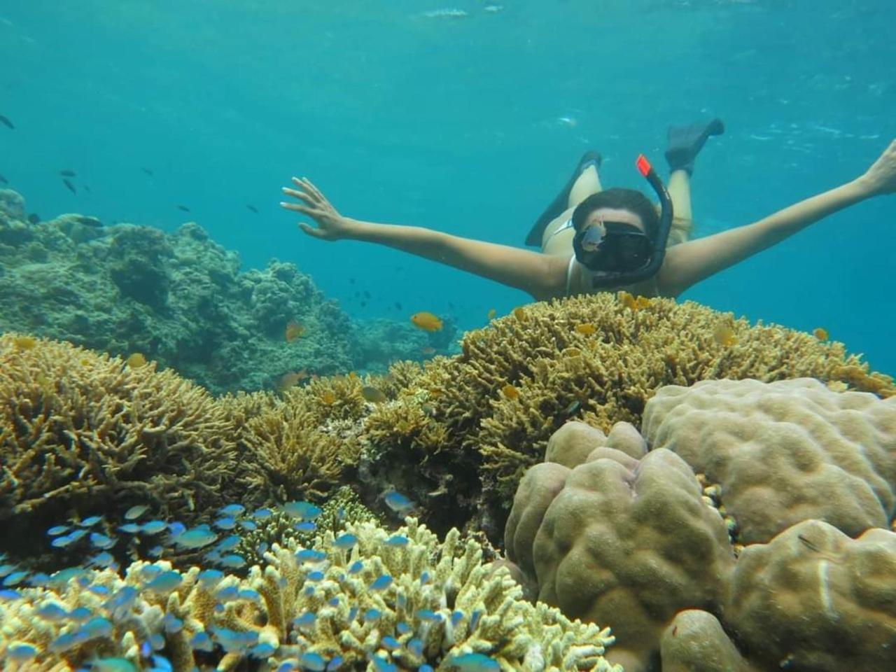 Maha Nusa Menjangan Баньюведанг Экстерьер фото
