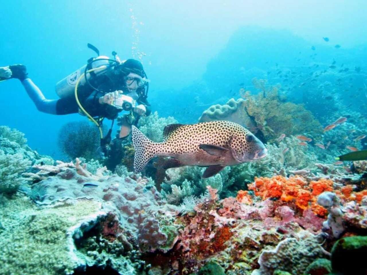 Maha Nusa Menjangan Баньюведанг Экстерьер фото